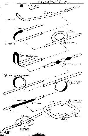 Pelikaani