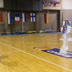 F3P Lithuania International competition 2014